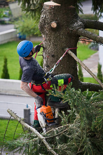 Mulching Services in South Dennis, MA